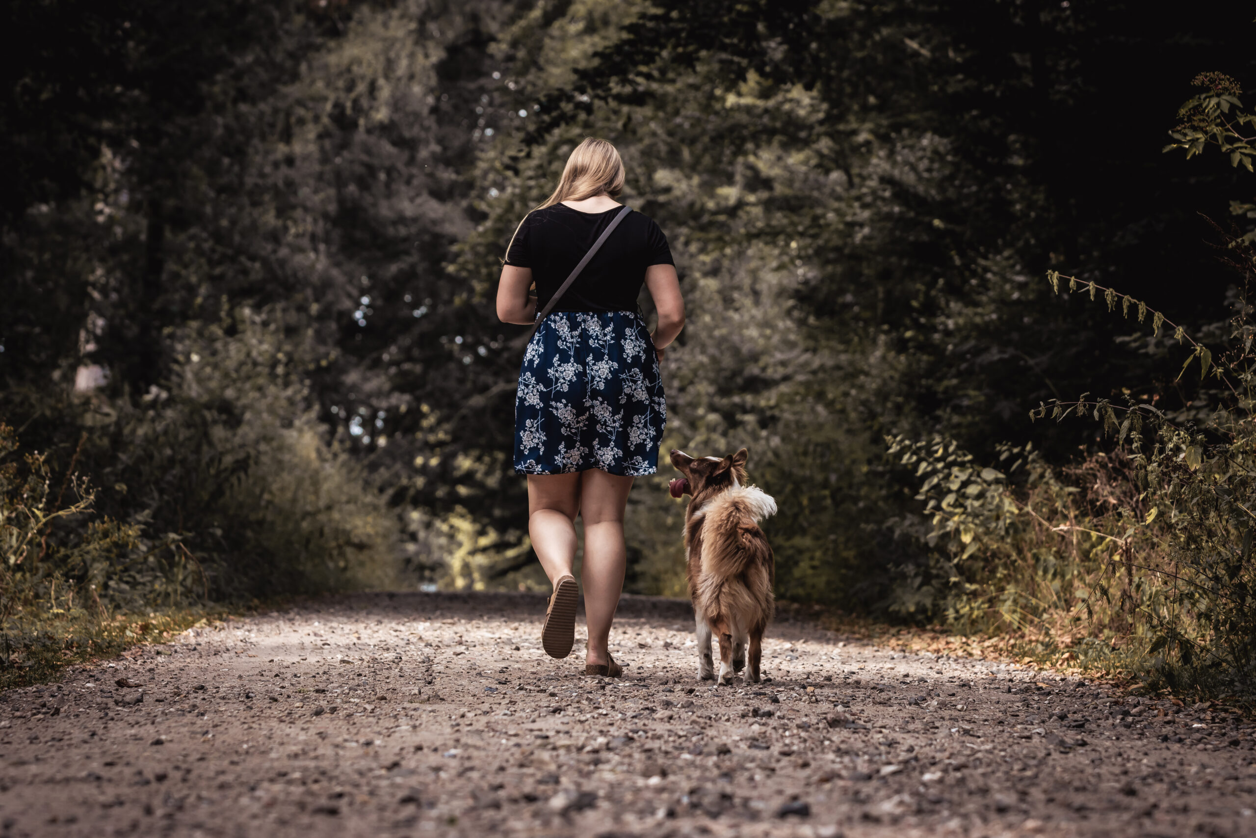 Hundefotografin aus dem Raum Neumünster